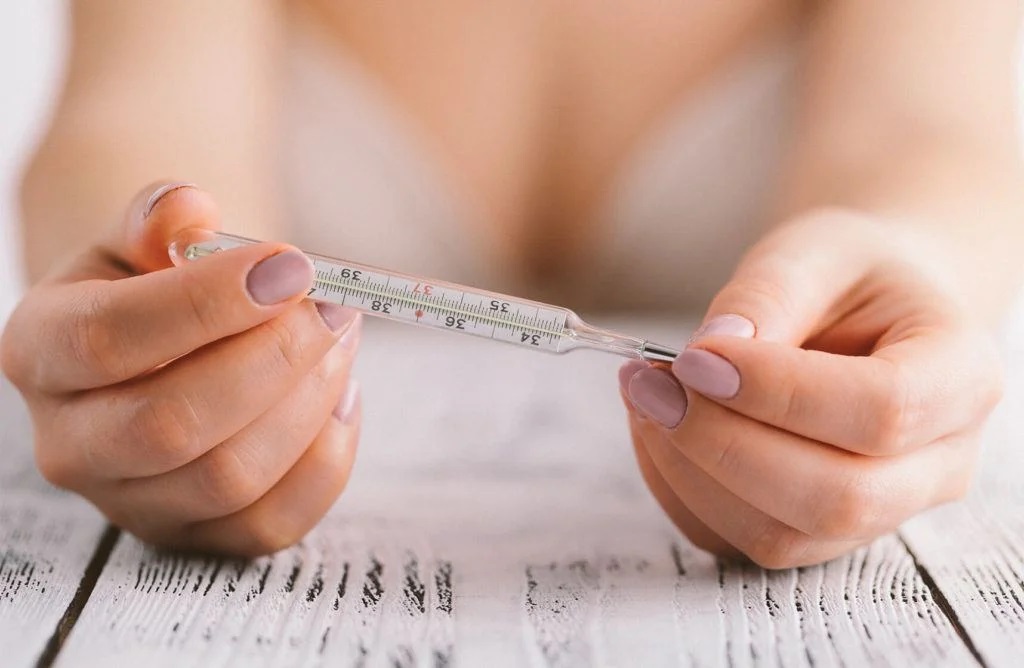 Bazální teplota a ovulace: jak ji měřit a poznat z grafu